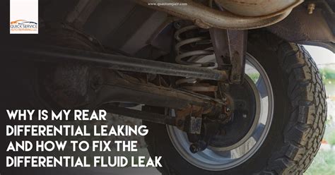 differential leaking oil|6 Causes of a Differential Leak & How to Fix Them